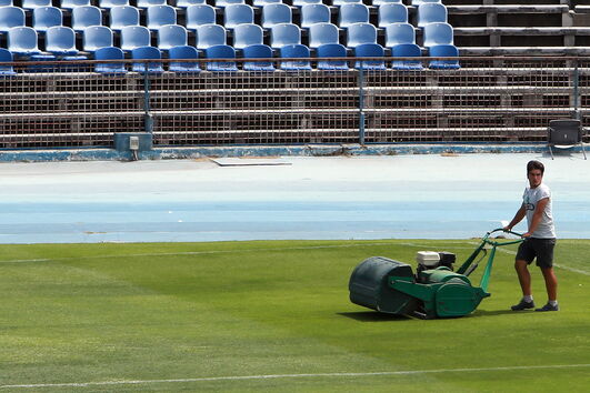 2020-08-11_19_50_31 35770367.jpg