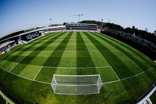 2020-08-12_11_02_21 34900396.jpg