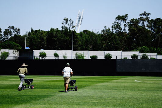 2020-08-12_11_02_23 34900401.jpg