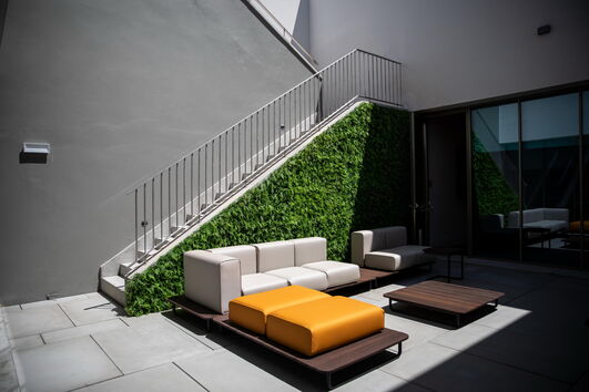 2020-08-12_11_02_31 35755115.jpg