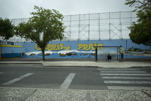 2020-08-12_11_05_54 35773065.JPG