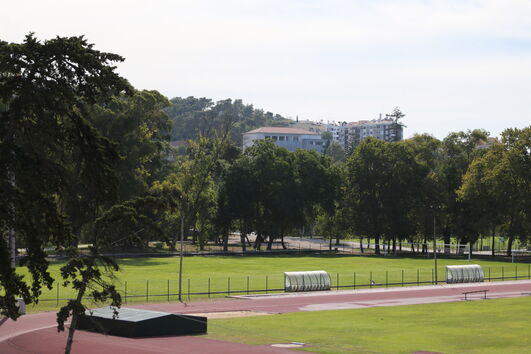 2020-08-12_11_08_44 14626886.jpg