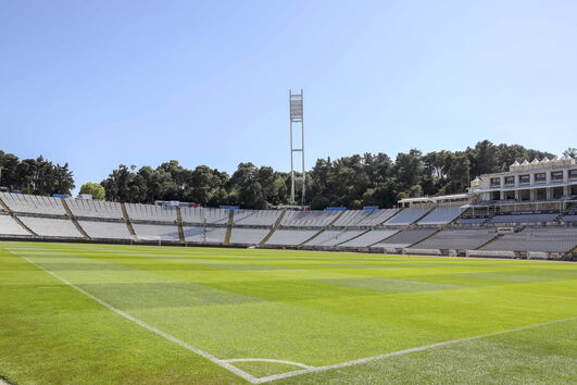 2020-08-12_11_08_48 18432855.jpg