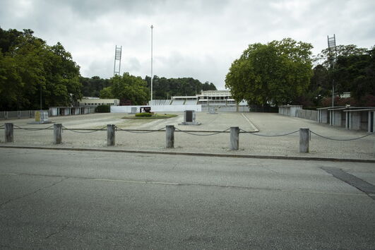 2020-08-12_11_08_54 35773055.JPG