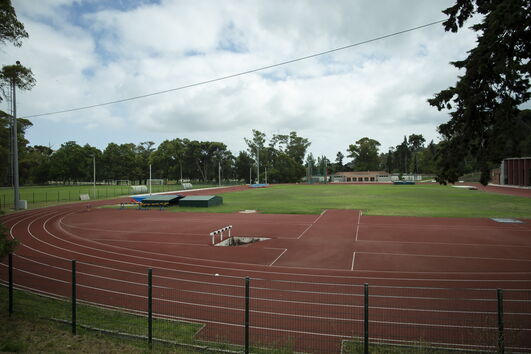 2020-08-12_11_08_59 35773057.JPG