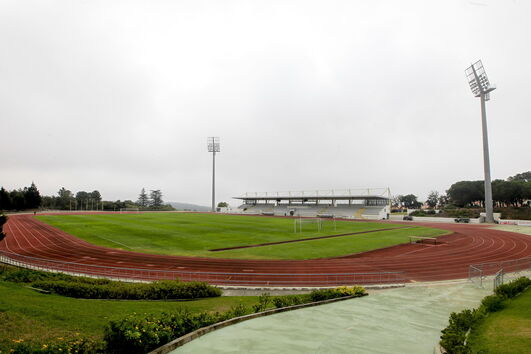 2020-08-12_11_10_32 35772945.JPG