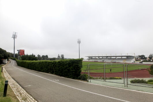 2020-08-12_11_10_35 35772947.JPG