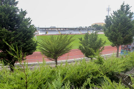 2020-08-12_11_10_38 35772948.JPG