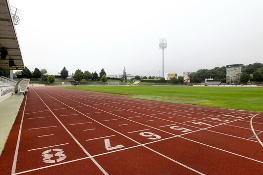 2020-08-12_11_10_44 35772956.JPG