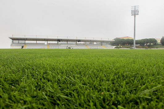 2020-08-12_11_10_49 35772978.JPG