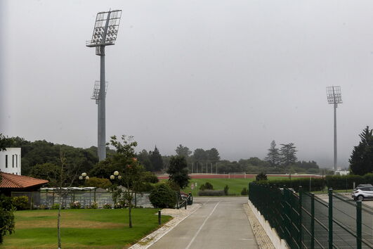 2020-08-12_11_10_58 35772984.JPG