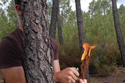 Imagem ARCANO/35677Y52SGK.F00 (6734693) (Milenium)