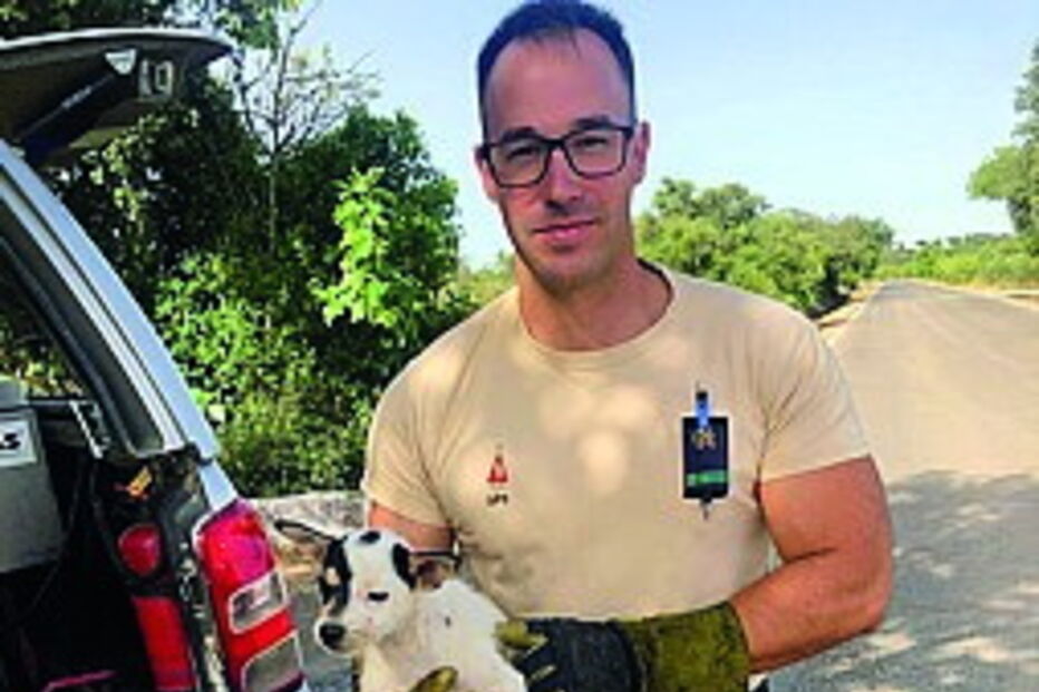 GNR salva quatro cães bebés