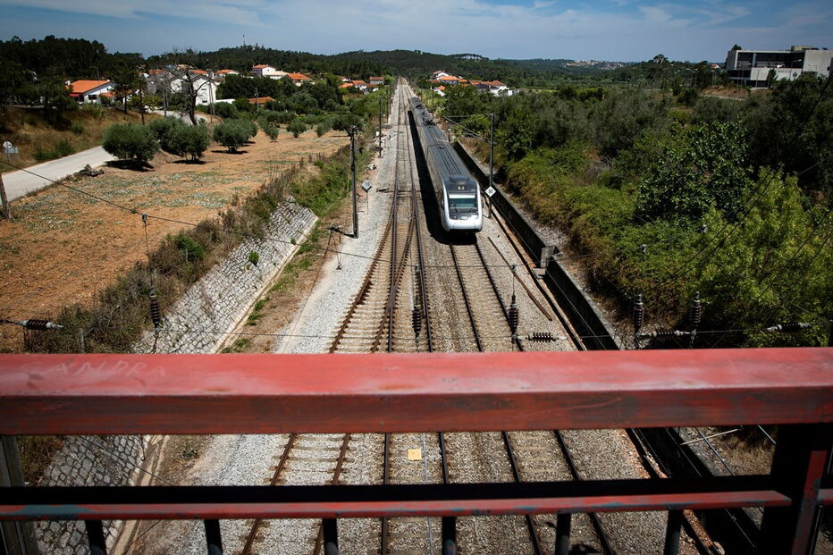 Imagem 0K6A8917.JPG (6354035) (Milenium)