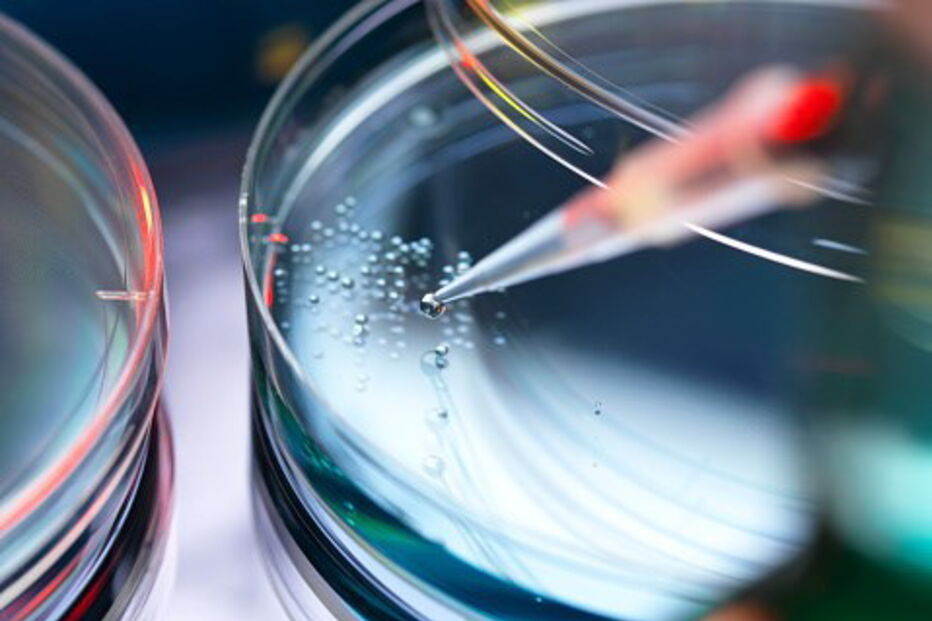 Investigação científica