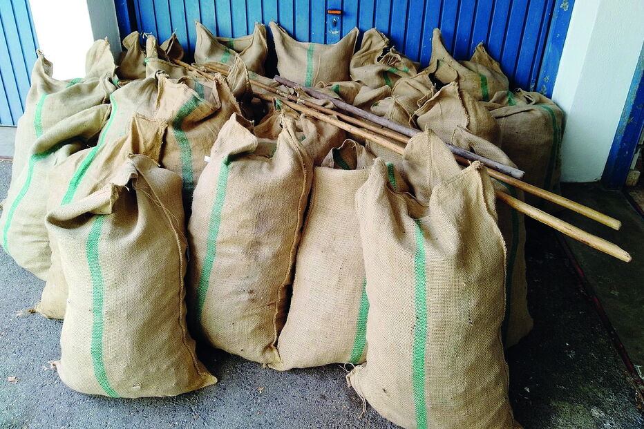 Alfarroba apreendida pela GNR, na semana passada, já estava dentro de sacos para ser levada pelos ladrões