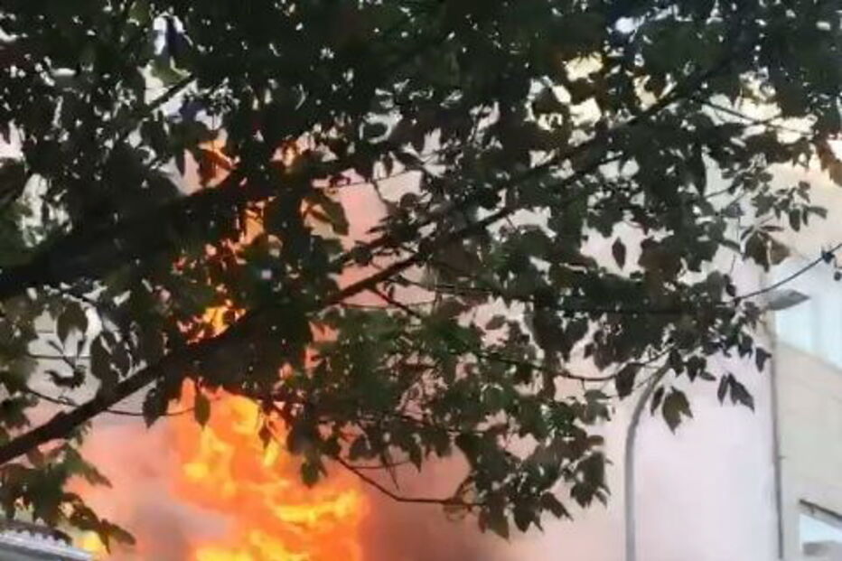 2020-08-04_20_21_31 jbs.JPG