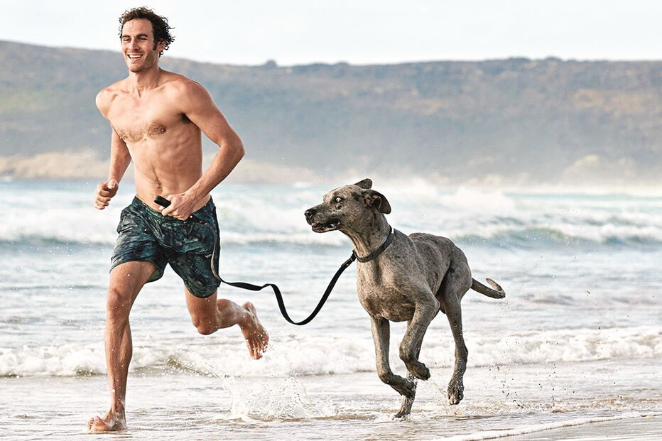 Imagem 35636121.jpg (6392669) (Milenium)