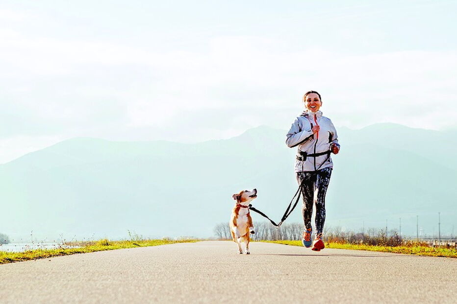 Imagem Canicross 35703604.jpg (6392934) (Milenium)