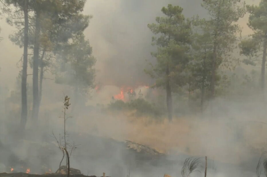 Incêndio em Sernancelhe