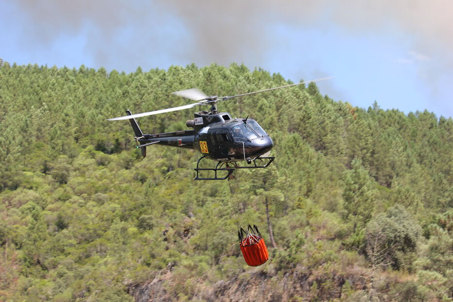 2020-08-06_17_06_30 IMG_1385.JPG