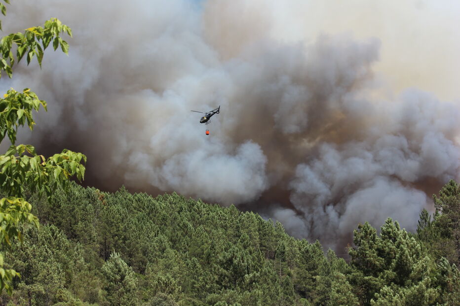 2020-08-06_17_06_46 IMG_1446.JPG