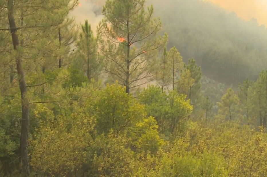 Incêndio no Fundão
