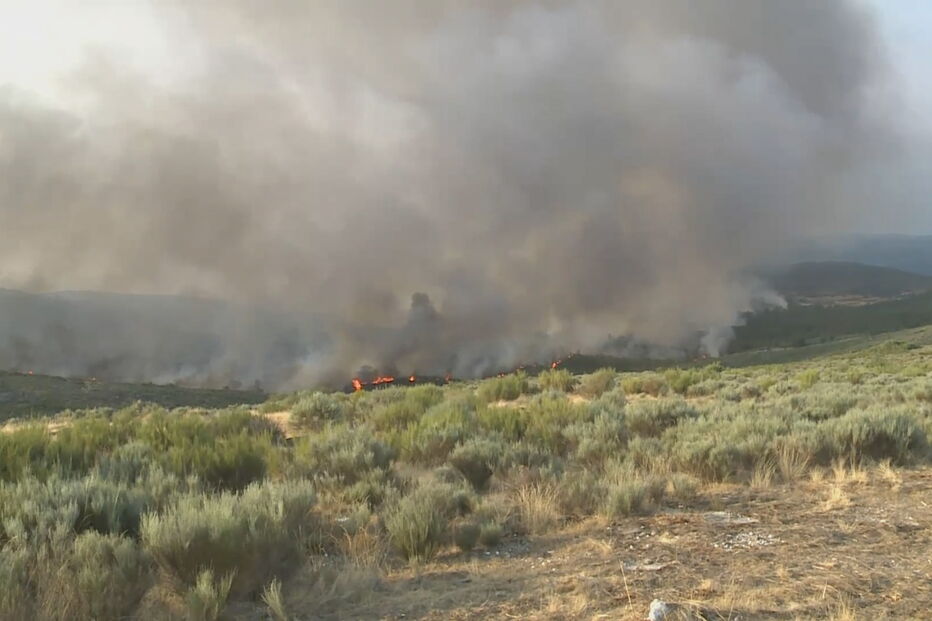 Incêndio em Sernancelhe	