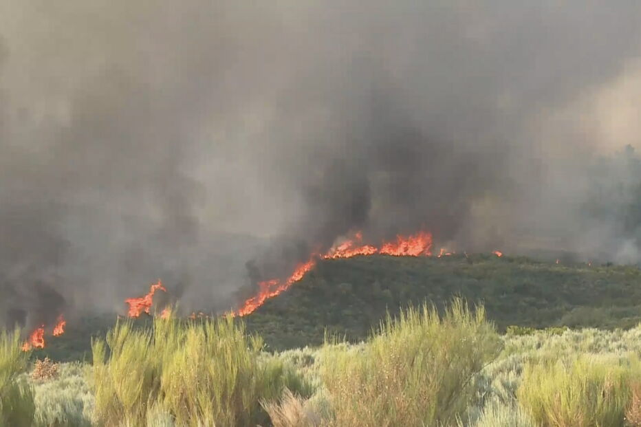 Incêndio em Sernancelhe	