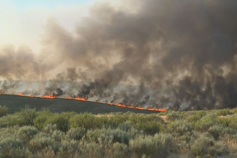 Incêndio em Sernancelhe	