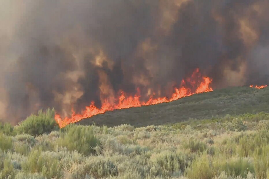 Incêndio em Sernancelhe	