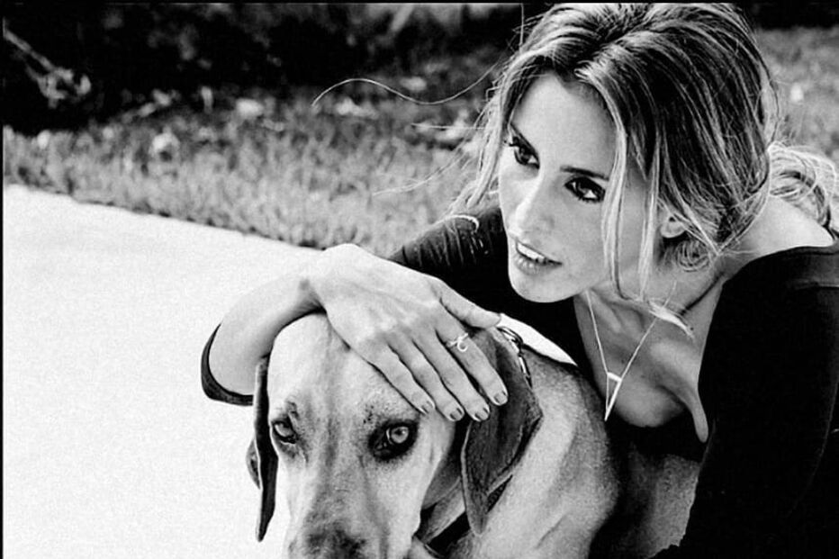 Carolina Patrocínio