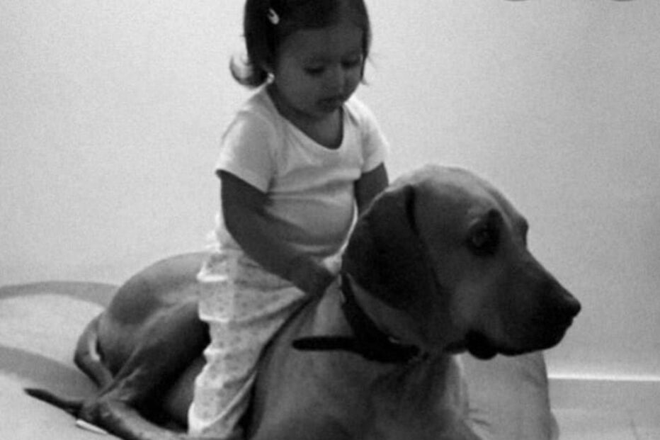 Carolina Patrocínio