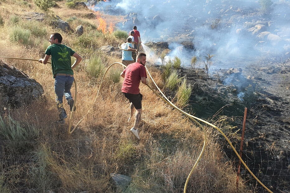 Imagem 20200807_173352.JPG (6422288) (Milenium)