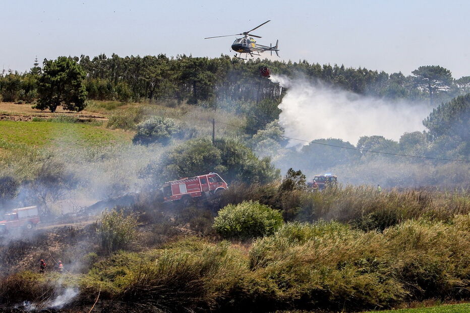 Imagem 0DSA9943.JPG (6422311) (Milenium)