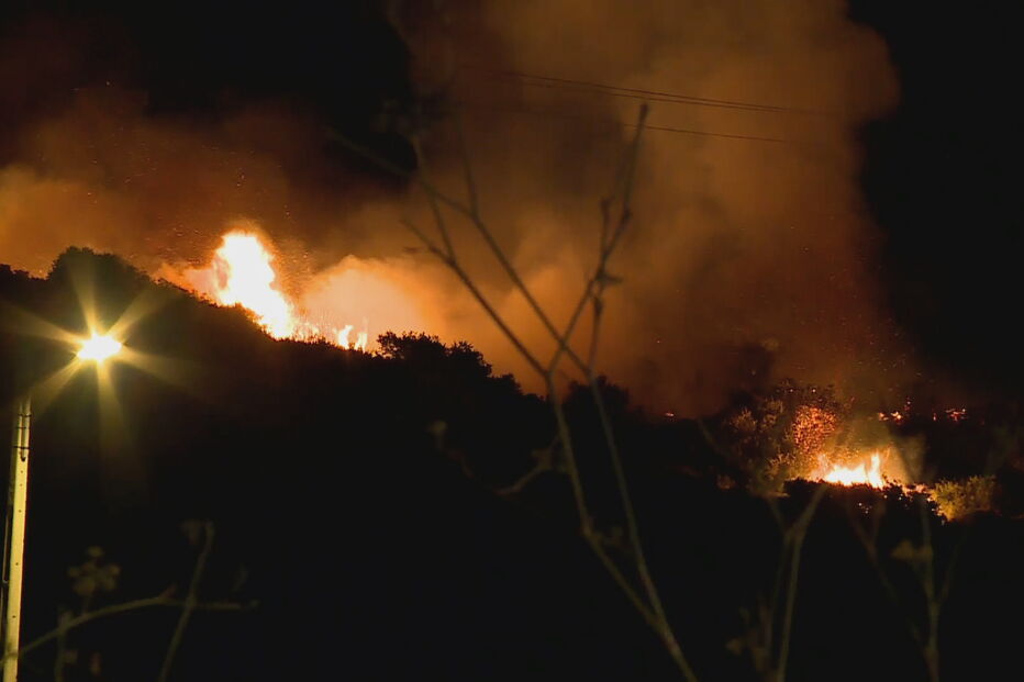Incêndio lavra em zona de mato na Amadora. Veja as imagens