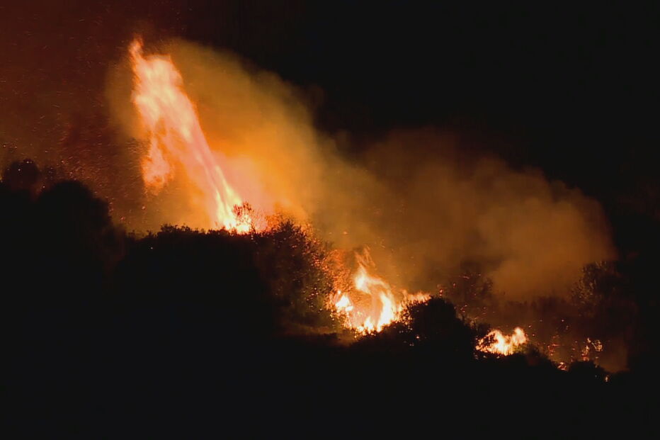 Incêndio lavra em zona de mato na Amadora. Veja as imagens