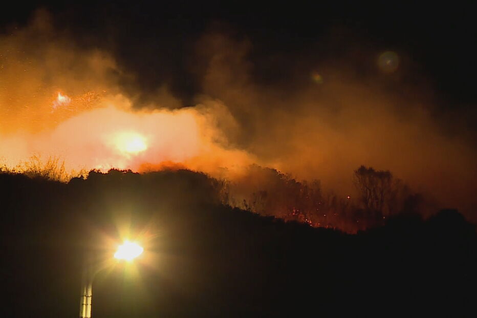Incêndio lavra em zona de mato na Amadora. Veja as imagens	