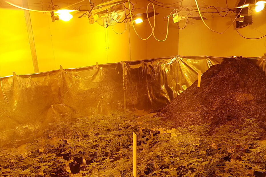 Imagem IMG-20200807-WA0001.JPG (6422187) (Milenium)