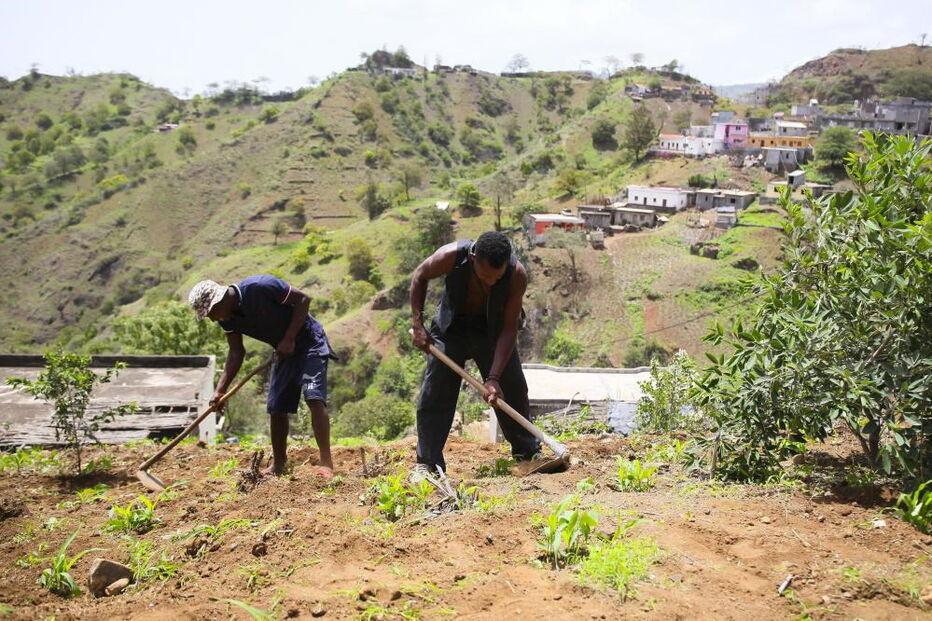 Agricultores cabo-verdianos não tiram os olhos do céu e pedem a Deus mais chuva