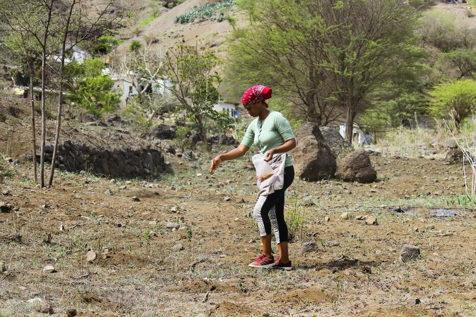 Agricultores cabo-verdianos não tiram os olhos do céu e pedem a Deus mais chuva