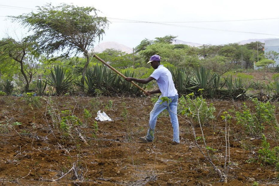 Agricultores cabo-verdianos não tiram os olhos do céu e pedem a Deus mais chuva