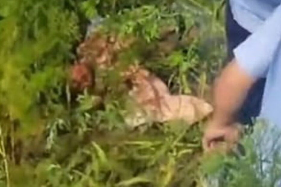 Mãe abandona filho bebé com um dia de vida por 