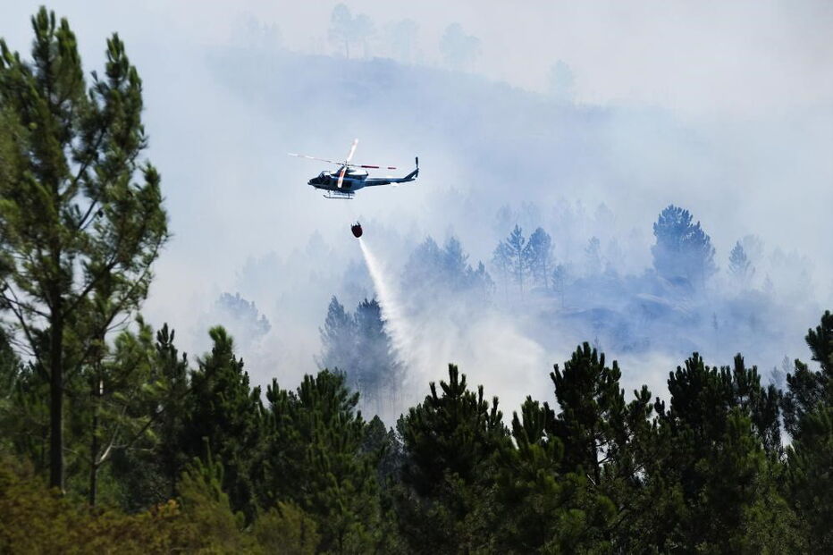 Fogo em Lindoso, no Gerês