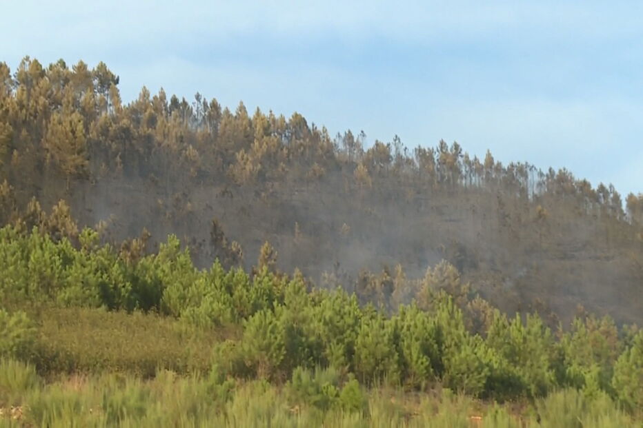 meios aéreos, incêndio, pampilhosa da serra