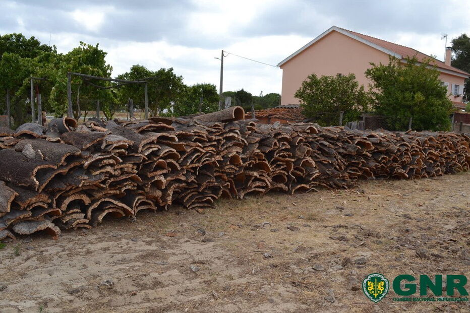2020-08-10_20_23_59 GNR Grândolal - Cortiça1.jpg