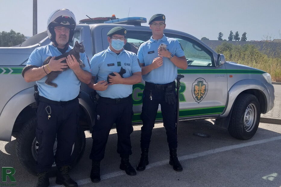 2020-08-10_20_26_31 GNR Gatos Alcacer do Sal.jpg