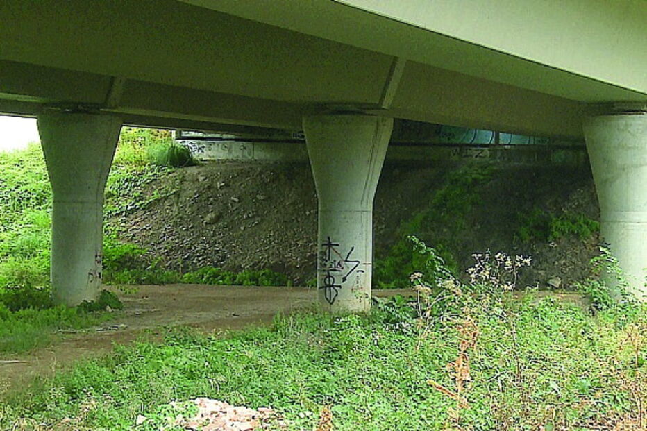 Buscas no  rio Leça e junto  a este viaduto por Agostinho Lopes, de 83 anos