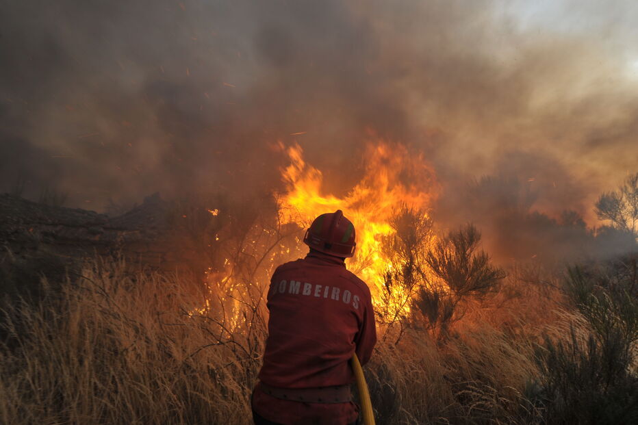 Imagem 12.JPG (6466398) (Milenium)