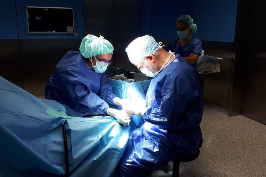 Imagem PHOTO-2020-08-07-18-26-14H.JPG (6466052) (Milenium)